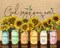 Painting by Numbers for Adults, Sunflower Paint by Numbers, 16X20 Inch Adults Paint by Number Kits for Beginners on Canvas